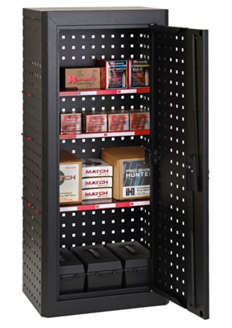 lockable ammo storage cabinet